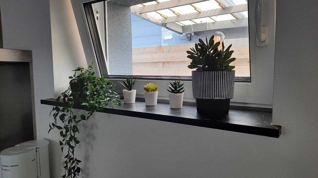 Appartement Duplex Pour 3-4 Personnes A Ciney Eksteriør billede